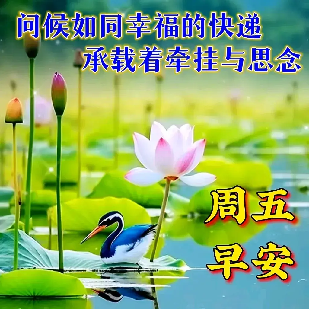 早安祝福语大全: 带走所有的疲惫，让笑容成为今天最美的风景